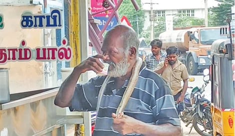செங்கோட்டையில் நல்ல பாம்பை கழுத்தில் போட்டபடி டீ குடித்த பெரியவர்.!